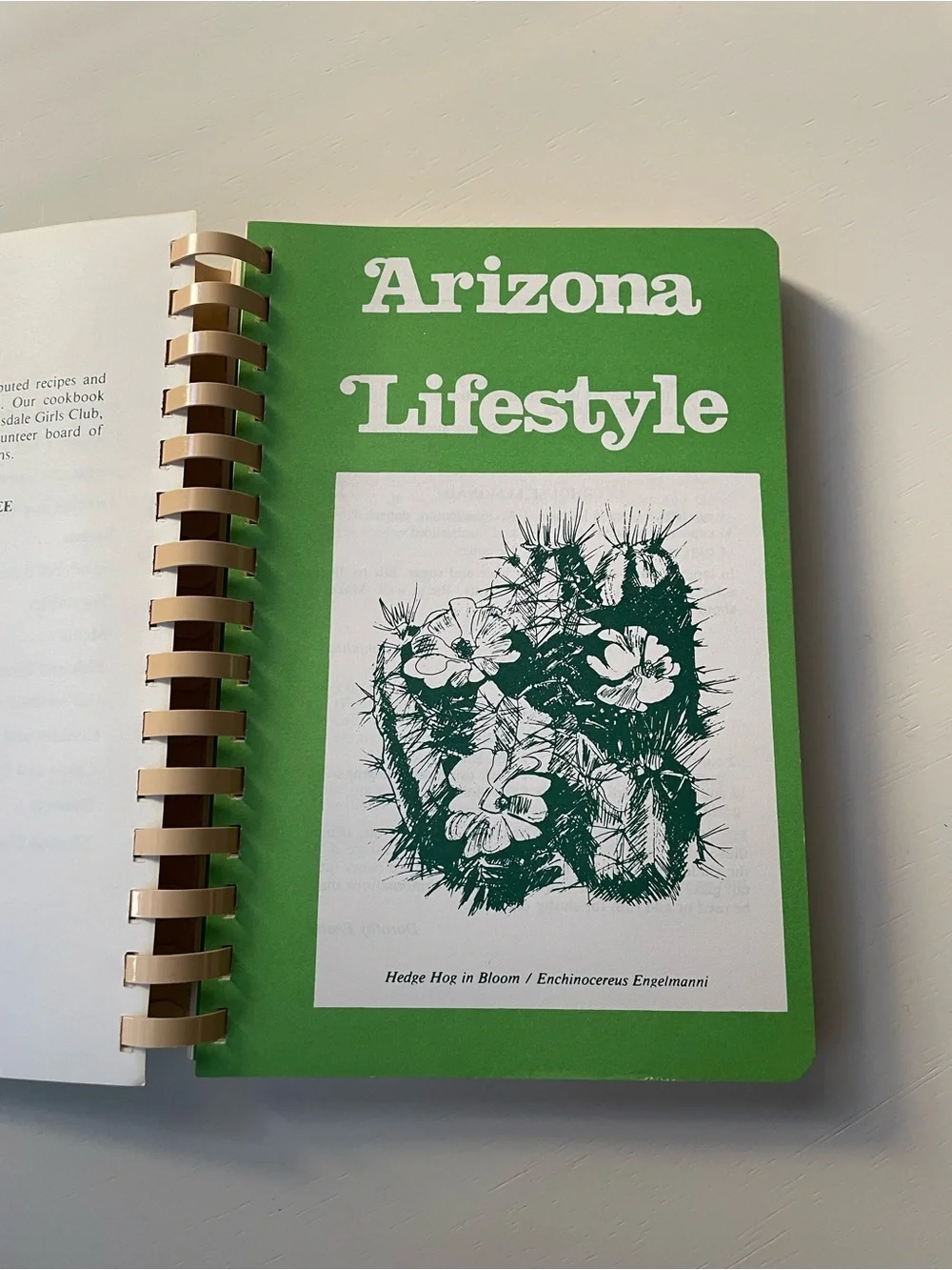 Vintage 1987 Calico Cactus cookbook Scottsdale Girls Club Arizona recipes